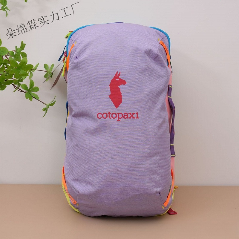 Waterproof Color Block Backpac - đánh giá và giá Travel Accessories Men
