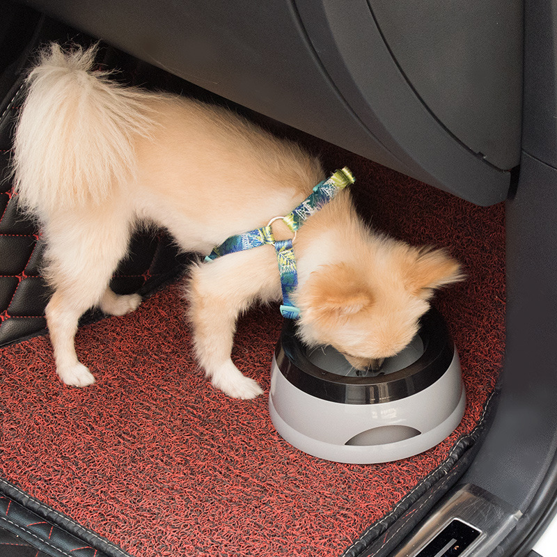 Pet Dog Bowls Floating Not Wet - đánh giá và giá Travel Accessories For Dogs