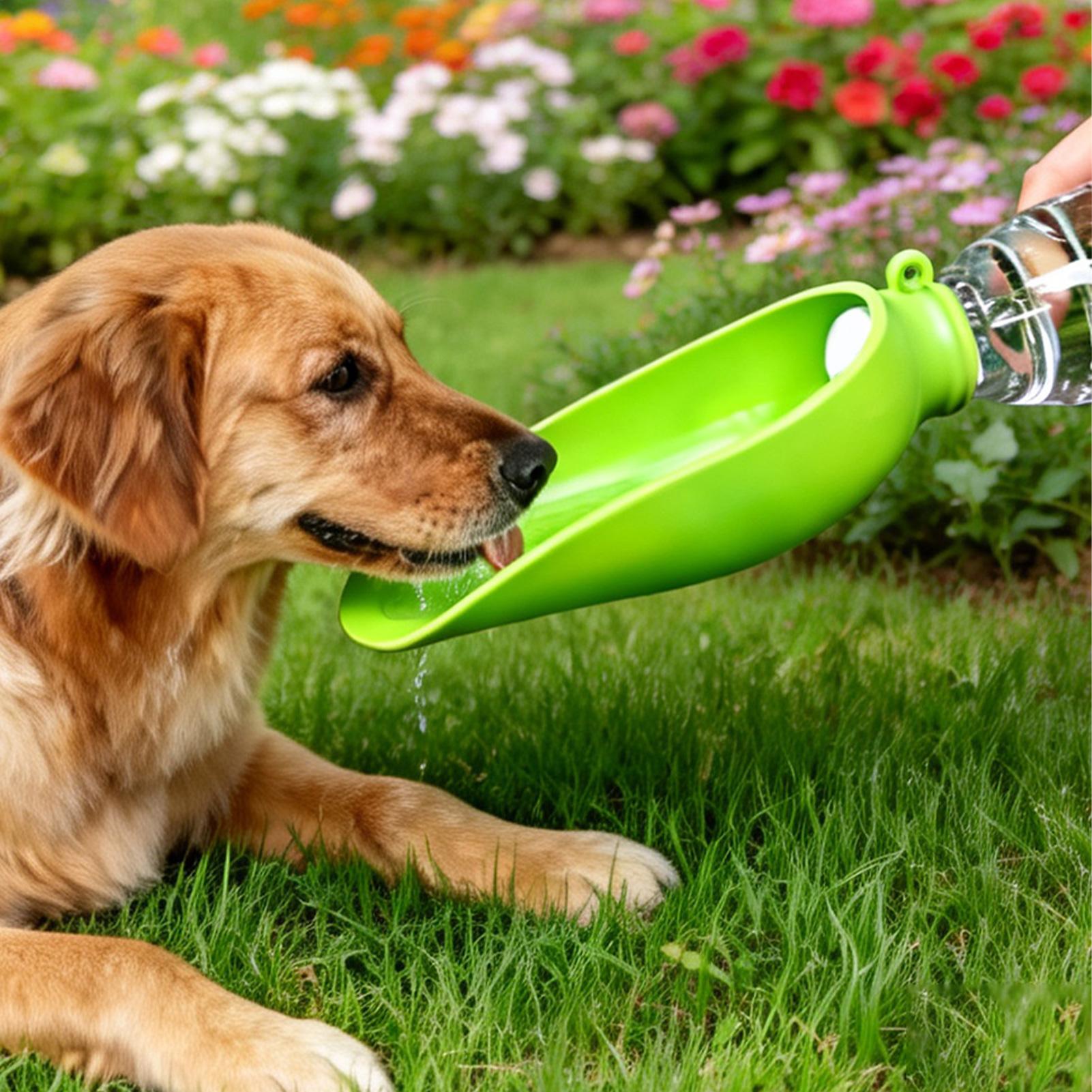 Dog Travel Water Bowl Silicone - đánh giá và giá Travel Accessories For Dogs